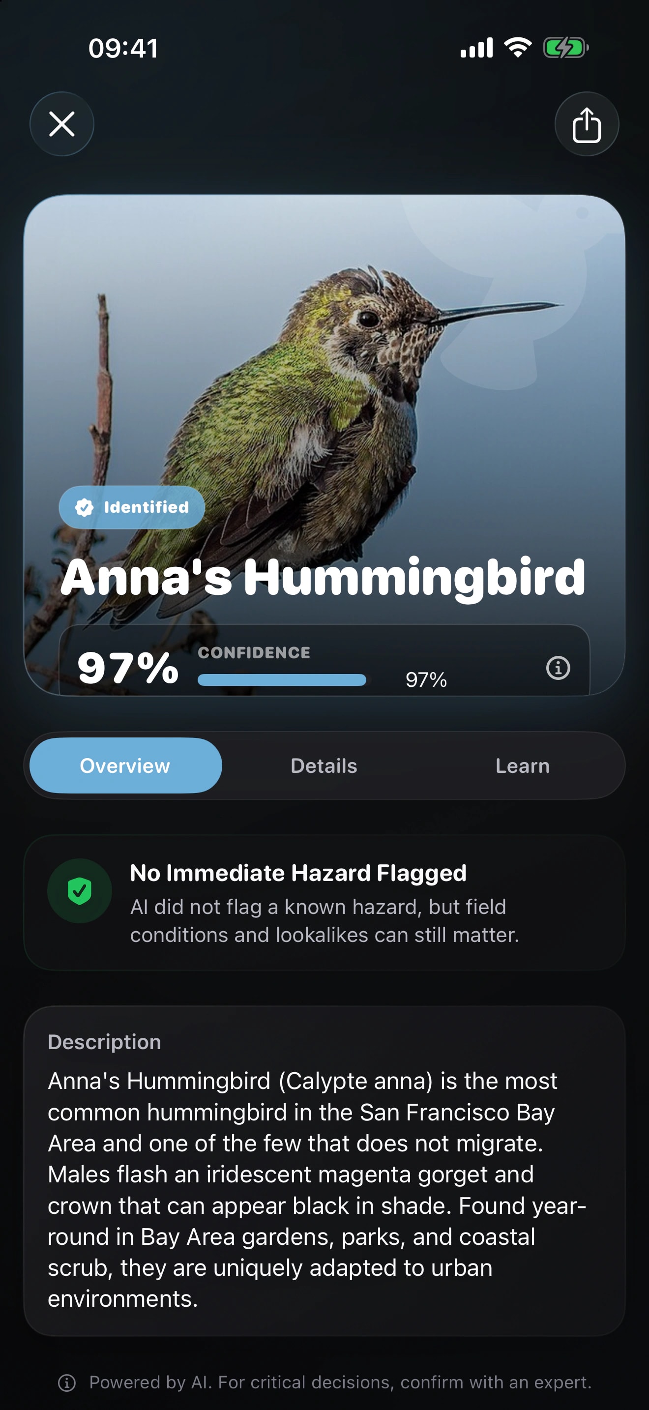 Birdr identifies an Anna's Hummingbird and shows the likely match with confidence and details