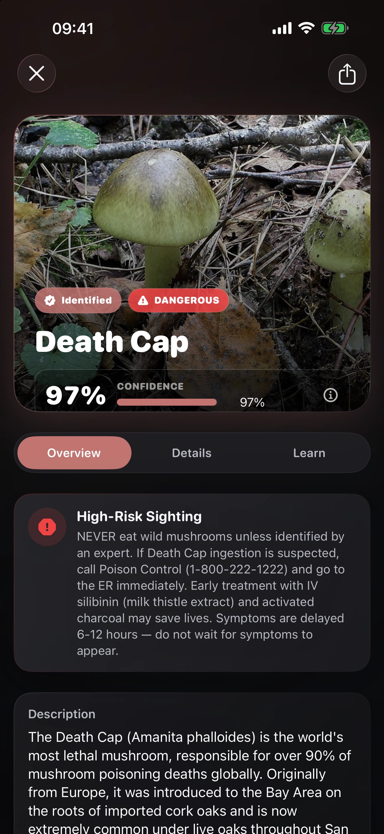 Foragr shows a likely Death Cap mushroom match with a prominent danger warning